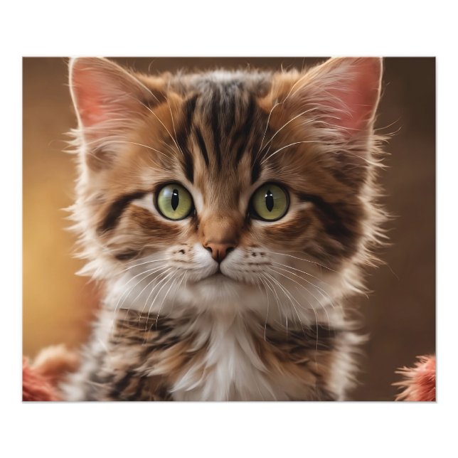 Cute Kitten Fototryck (Framsidan)