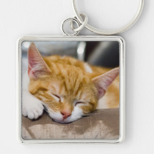 Cute Kitten Fyrkantig Silverfärgad Nyckelring