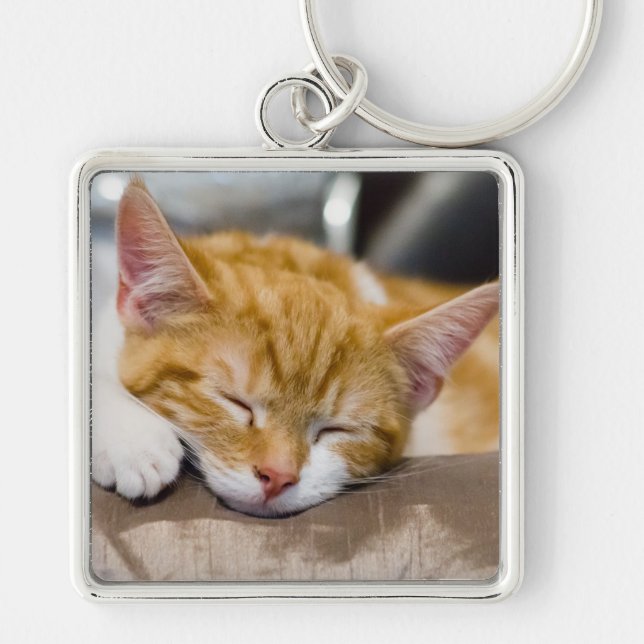 Cute Kitten Fyrkantig Silverfärgad Nyckelring (Framsidan)