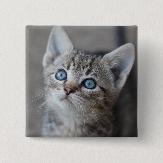 Cute Kitten i Garden Knapp (Framsida)