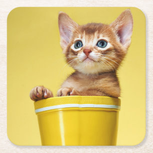 Cute kitten i gult bucket underlägg papper kvadrat