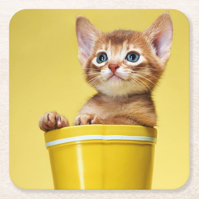 Cute kitten i gult bucket underlägg papper kvadrat (Framsidan)