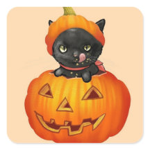 Cute kitten i pumkin Halloween
