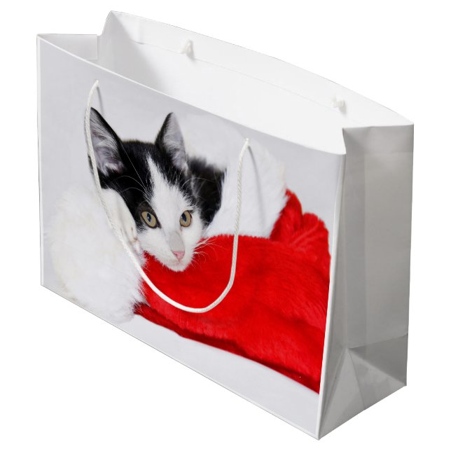 Cute Kitten i Santa Hat (Baksidan Vinklad)