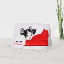 Cute Kitten i Santa Hat Helgkort
