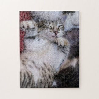 Cute Kitten Jigszle Puzzle Pussel
