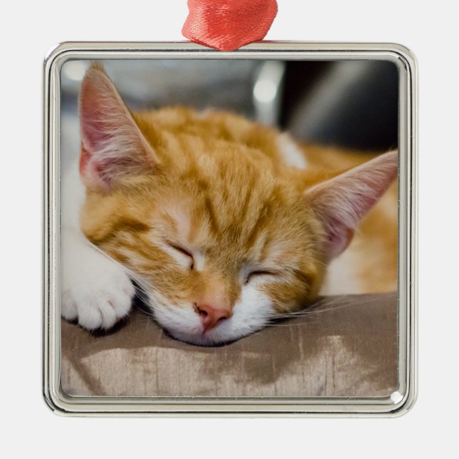 Cute Kitten Julgransprydnad Metall (Framsidan)