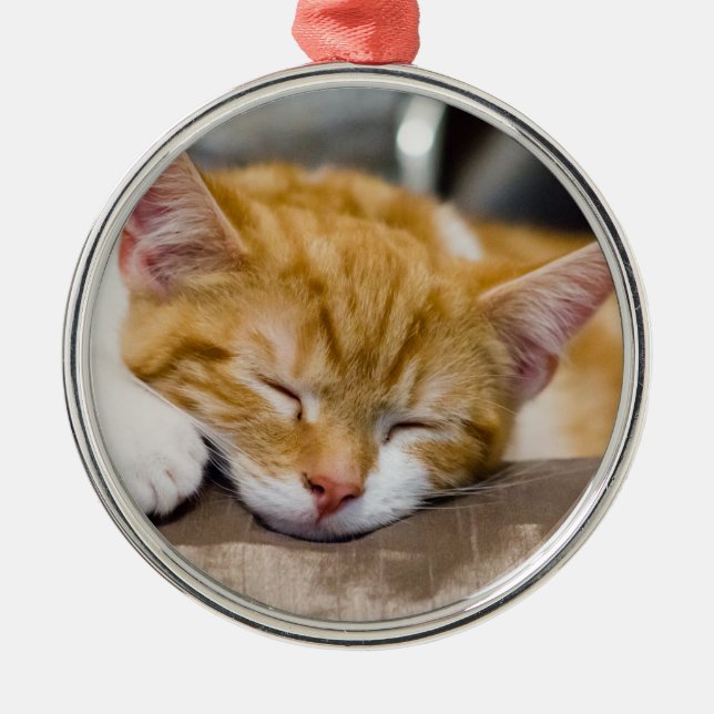 Cute Kitten Julgransprydnad Metall (Framsidan)