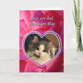 Cute Kitten Katten är mina favorithjärtans. Kort