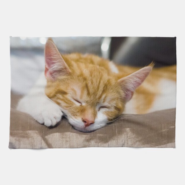 Cute Kitten Kökshandduk (Horisontell)