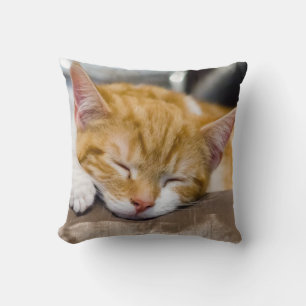 Cute Kitten Kudde