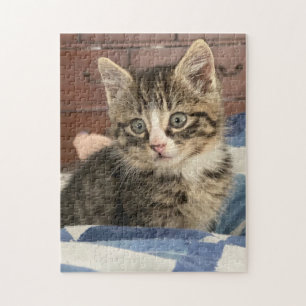 Cute Kitten Lämna den här fliken eller lägg till Pussel