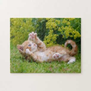 Cute kitten leker i en blomsterträdgård ... pussel