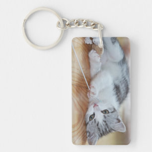 Cute Kitten leker med sträng