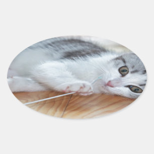 Cute Kitten leker med sträng Ovalt Klistermärke