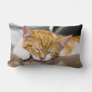 Cute Kitten Lumbarkudde