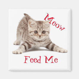 Cute Kitten Magnet