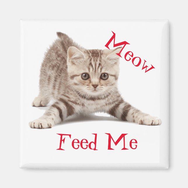 Cute Kitten Magnet (Framsidan)
