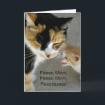 Cute Kitten Mamma Grattis på födelsedagen kort<br><div class="desc">Han ber sin mamma att ha en grattis på födelsedagen. Ett bra kort för en kattälskare! Originalfotografi av Cherie Haines.</div>
