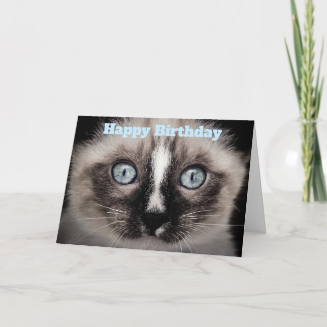 Cute Kitten med Blue Ögon Grattis på födelsedagen Kort (Framsida)