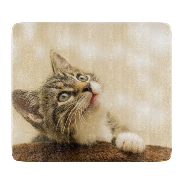 Cute Kitten med utdragen Tass (Framsidan)