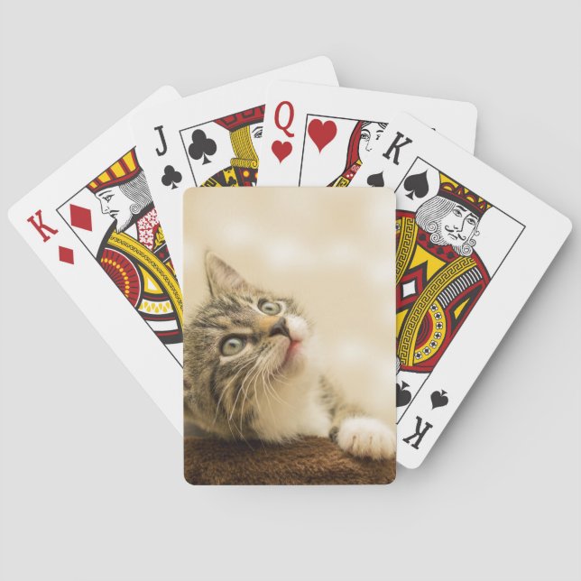 Cute Kitten med utdragen Tass Casinokort (Baksidan)