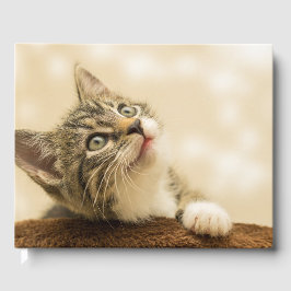 Cute Kitten med utdragen Tass Gästböcker