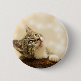 Cute Kitten med utdragen Tass Knapp