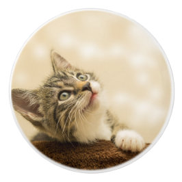 Cute Kitten med utdragen Tass Knopp