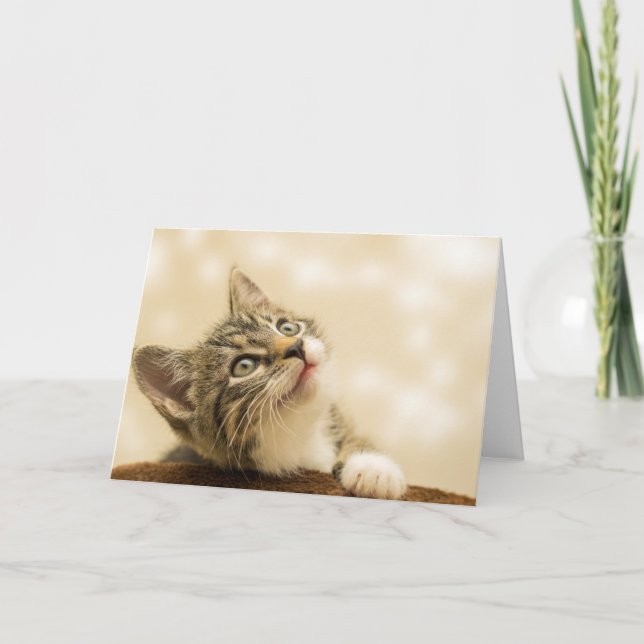 Cute Kitten med utdragen Tass Kort (Framsida)