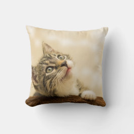 Cute Kitten med utdragen Tass Kudde