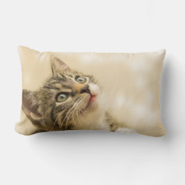 Cute Kitten med utdragen Tass Lumbarkudde