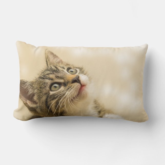 Cute Kitten med utdragen Tass Lumbarkudde (Framsida)