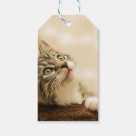 Cute Kitten med utdragen Tass Presentetikett