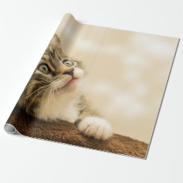 Cute Kitten med utdragen Tass Presentpapper