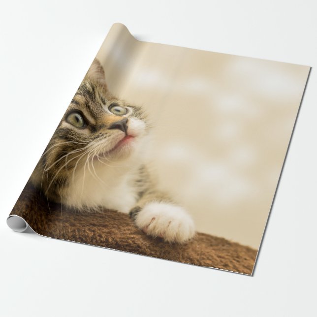 Cute Kitten med utdragen Tass Presentpapper (Utrullad)