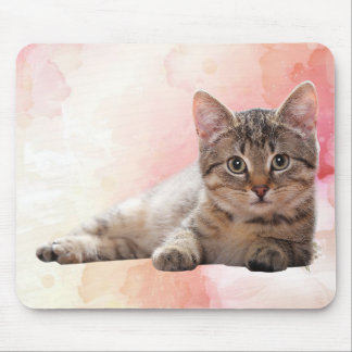 Cute Kitten Musmatta