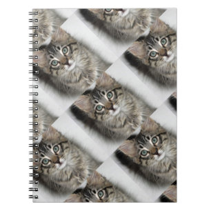 Cute Kitten Notebook Anteckningsbok Med Spiral