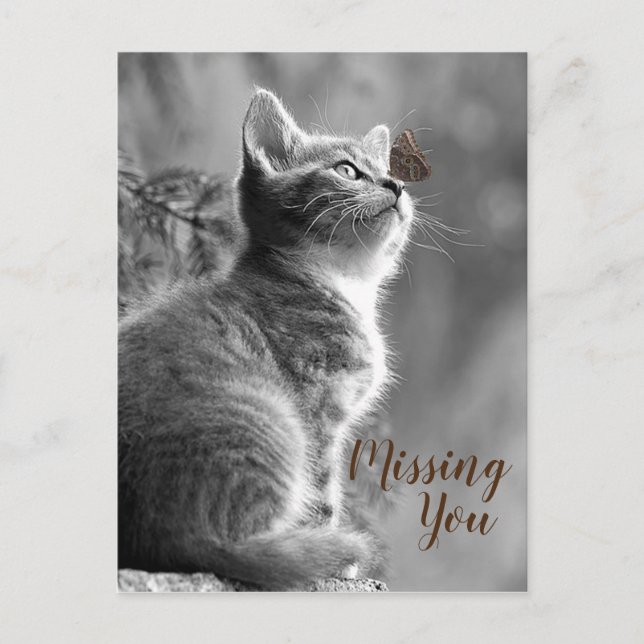 Cute Kitten och Butterfly Vykort (Framsida)