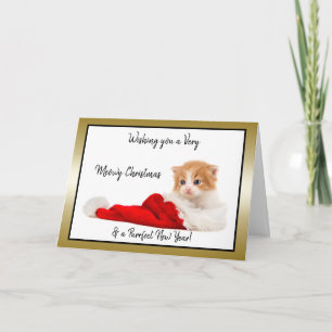 Cute Kitten önskar dig en god jul Helgkort