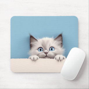 Cute Kitten Peeking Ragdoll Cat Musmatta