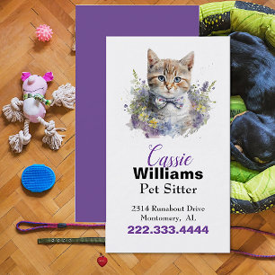 Cute Kitten Pet Sitter