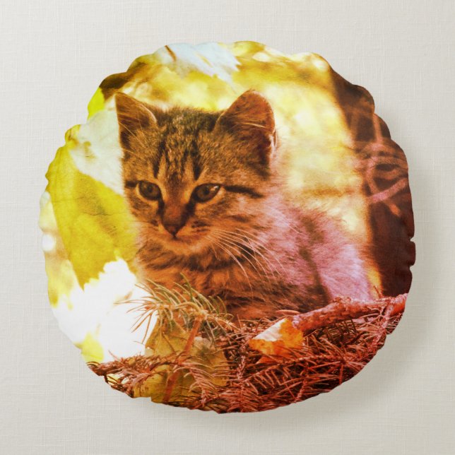 Cute Kitten Photo Baby Cat Round Cushion Rund Kudde (Framsidan)