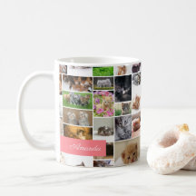Cute Kitten Photo Montage Coral Rosa Cat