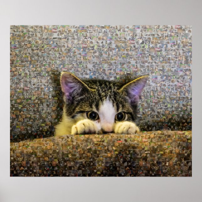 Cute Kitten Photo Mosaic. Poster (Framsidan)