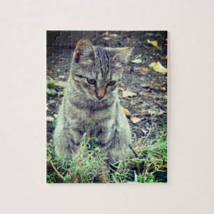 Cute Kitten Photo Pussel