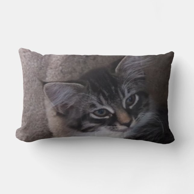 Cute Kitten Pillow Lumbarkudde (Framsida)