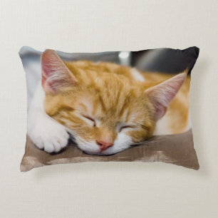 Cute Kitten Prydnadskudde