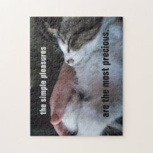 Cute Kitten Quote Simple Pleasures Mest Precious