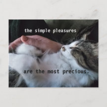Cute Kitten Quote Simple Pleasures Mest Precious